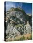 Theodore Roosevelt National Park-Gordon Semmens-Stretched Canvas