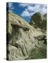 Theodore Roosevelt National Park-Gordon Semmens-Stretched Canvas