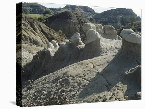 Theodore Roosevelt National Park-Gordon Semmens-Stretched Canvas