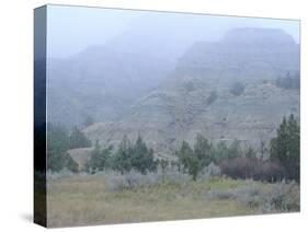 Theodore Roosevelt National Park-Gordon Semmens-Stretched Canvas