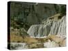 Theodore Roosevelt National Park-Gordon Semmens-Stretched Canvas