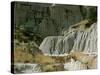 Theodore Roosevelt National Park-Gordon Semmens-Stretched Canvas