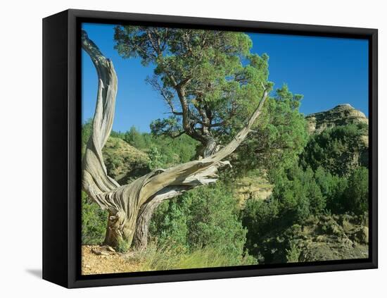 Theodore Roosevelt National Park-Gordon Semmens-Framed Stretched Canvas