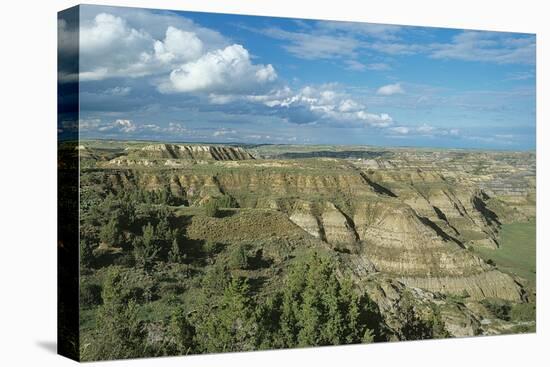 Theodore Roosevelt National Park-Gordon Semmens-Stretched Canvas