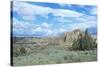 Theodore Roosevelt National Park-Gordon Semmens-Stretched Canvas