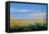 Theodore Roosevelt National Park-Gordon Semmens-Framed Stretched Canvas