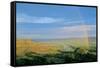 Theodore Roosevelt National Park-Gordon Semmens-Framed Stretched Canvas