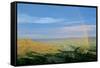 Theodore Roosevelt National Park-Gordon Semmens-Framed Stretched Canvas