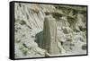 Theodore Roosevelt National Park-Gordon Semmens-Framed Stretched Canvas