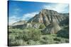 Theodore Roosevelt National Park-Gordon Semmens-Stretched Canvas