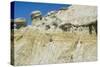 Theodore Roosevelt National Park-Gordon Semmens-Stretched Canvas