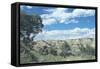 Theodore Roosevelt National Park-Gordon Semmens-Framed Stretched Canvas