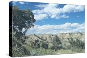 Theodore Roosevelt National Park-Gordon Semmens-Stretched Canvas