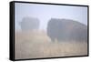 Theodore Roosevelt National Park-Gordon Semmens-Framed Stretched Canvas