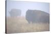 Theodore Roosevelt National Park-Gordon Semmens-Stretched Canvas