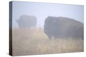 Theodore Roosevelt National Park-Gordon Semmens-Stretched Canvas