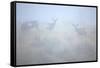 Theodore Roosevelt National Park-Gordon Semmens-Framed Stretched Canvas