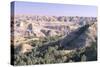 Theodore Roosevelt National Park-Gordon Semmens-Stretched Canvas