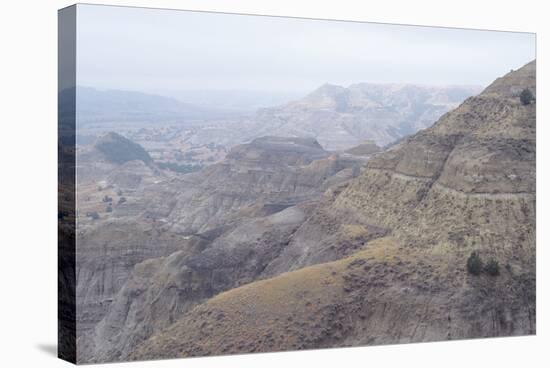 Theodore Roosevelt National Park-Gordon Semmens-Stretched Canvas