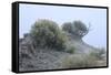 Theodore Roosevelt National Park-Gordon Semmens-Framed Stretched Canvas