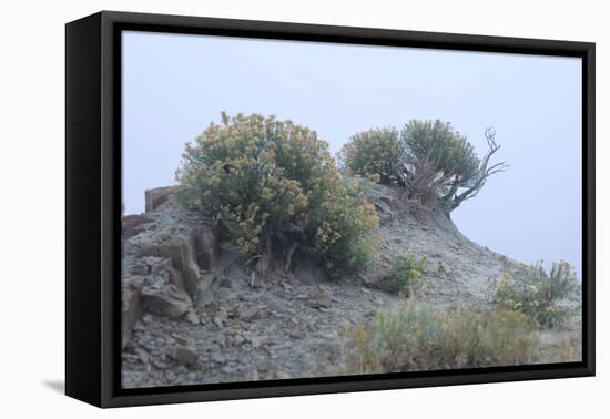Theodore Roosevelt National Park-Gordon Semmens-Framed Stretched Canvas