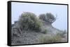 Theodore Roosevelt National Park-Gordon Semmens-Framed Stretched Canvas