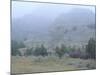 Theodore Roosevelt National Park-Gordon Semmens-Mounted Photographic Print