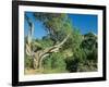 Theodore Roosevelt National Park-Gordon Semmens-Framed Photographic Print