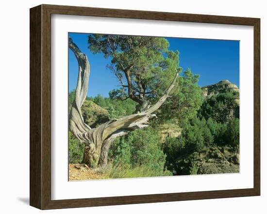 Theodore Roosevelt National Park-Gordon Semmens-Framed Photographic Print