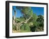 Theodore Roosevelt National Park-Gordon Semmens-Framed Photographic Print