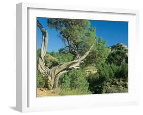 Theodore Roosevelt National Park-Gordon Semmens-Framed Photographic Print