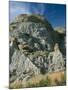 Theodore Roosevelt National Park-Gordon Semmens-Mounted Photographic Print