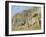 Theodore Roosevelt National Park-Gordon Semmens-Framed Photographic Print