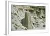 Theodore Roosevelt National Park-Gordon Semmens-Framed Photographic Print