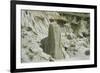 Theodore Roosevelt National Park-Gordon Semmens-Framed Photographic Print