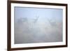 Theodore Roosevelt National Park-Gordon Semmens-Framed Photographic Print