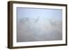 Theodore Roosevelt National Park-Gordon Semmens-Framed Photographic Print