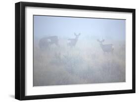 Theodore Roosevelt National Park-Gordon Semmens-Framed Photographic Print