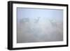 Theodore Roosevelt National Park-Gordon Semmens-Framed Photographic Print