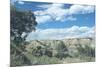 Theodore Roosevelt National Park-Gordon Semmens-Mounted Photographic Print