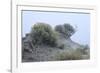 Theodore Roosevelt National Park-Gordon Semmens-Framed Photographic Print