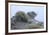 Theodore Roosevelt National Park-Gordon Semmens-Framed Photographic Print