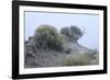 Theodore Roosevelt National Park-Gordon Semmens-Framed Photographic Print