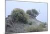 Theodore Roosevelt National Park-Gordon Semmens-Mounted Photographic Print