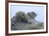 Theodore Roosevelt National Park-Gordon Semmens-Framed Photographic Print