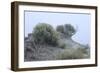 Theodore Roosevelt National Park-Gordon Semmens-Framed Photographic Print