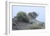 Theodore Roosevelt National Park-Gordon Semmens-Framed Photographic Print