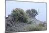 Theodore Roosevelt National Park-Gordon Semmens-Mounted Photographic Print