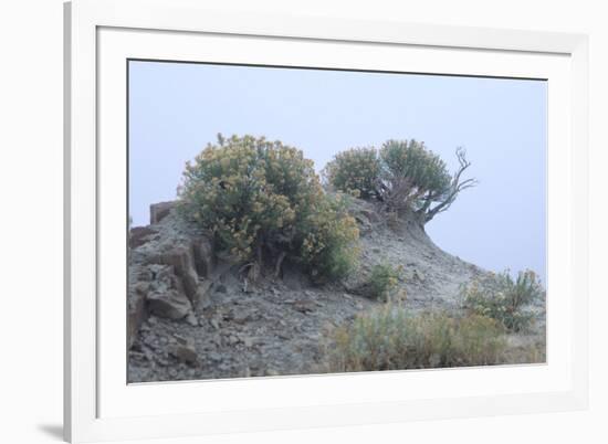 Theodore Roosevelt National Park-Gordon Semmens-Framed Photographic Print