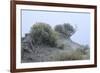 Theodore Roosevelt National Park-Gordon Semmens-Framed Photographic Print